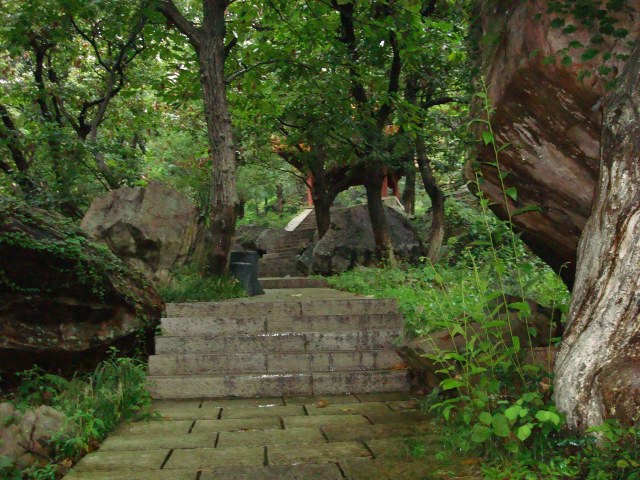 Staircase in the trees, China 2007